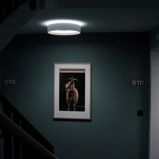 Dryyerli-Frutt-21-Treppenhaus-WEB